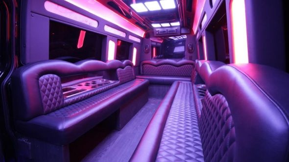 burnsville sprinter limo rental inside